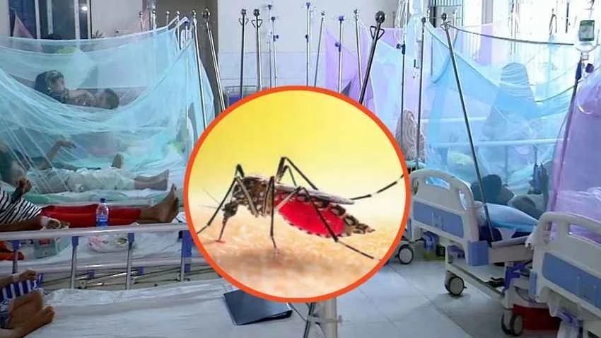 ডেঙ্গুতে মৃত্যু ৩০০ ছুঁইছুঁই