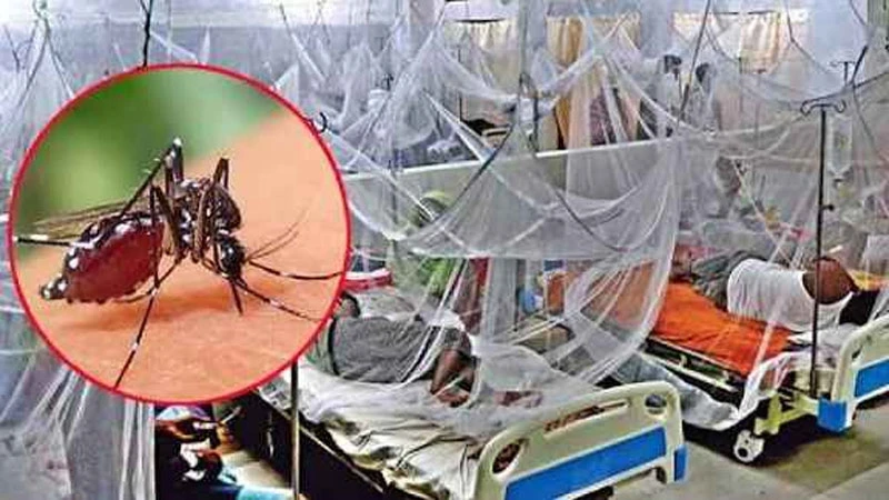 ডেঙ্গুতে এক দিনে ১০ জনের মৃত্যু