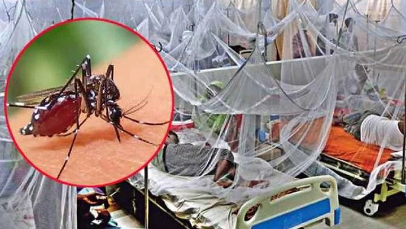 ডেঙ্গুতে একদিনে ৪ জনের মৃত্যু, হাসপাতালে ১৮৫১